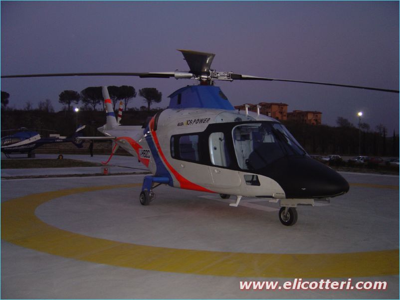 elifoto (252)